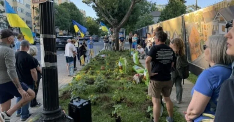 Соняшники як символ підтримки України біля посольства РФ у Вашингтоні